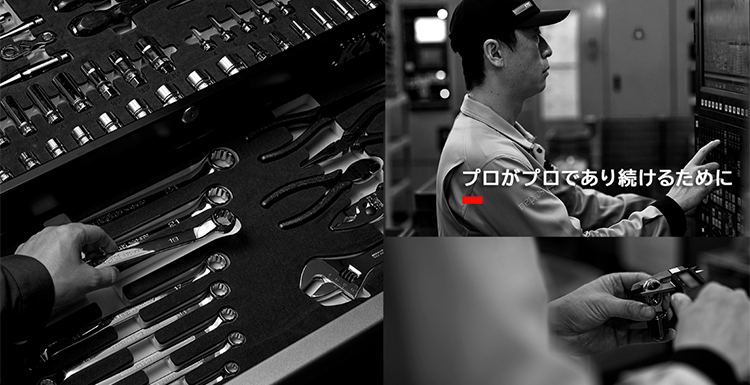 nepros_mv-1